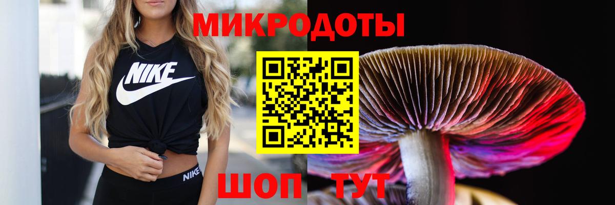 Галлюциногенные грибы ЛСД Киселёвск